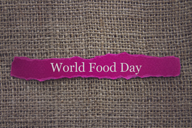 世界粮食日宣传