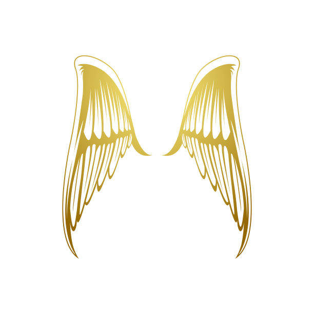 金鹰logo