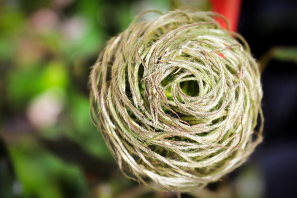 intricate