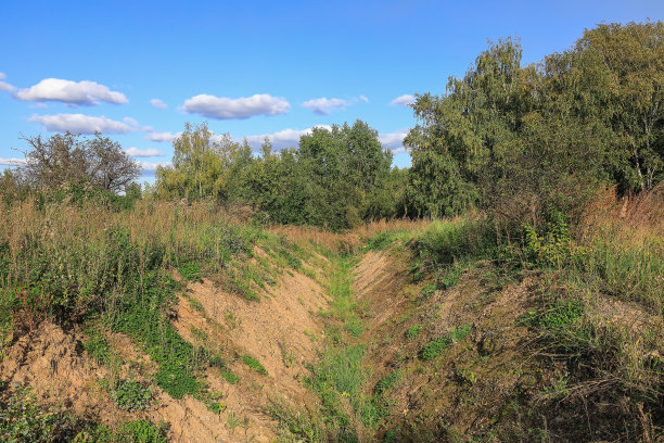 ditch