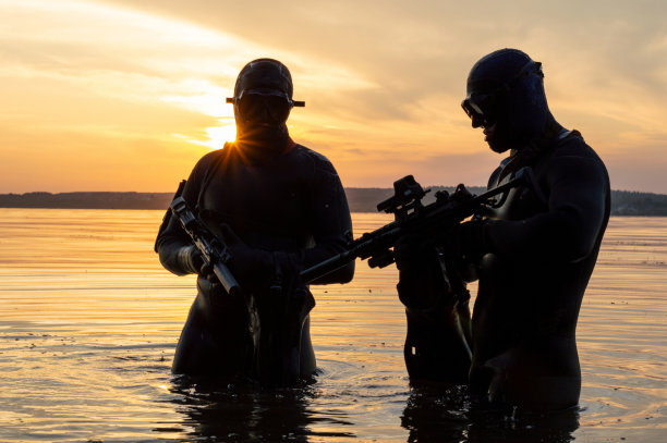 sas