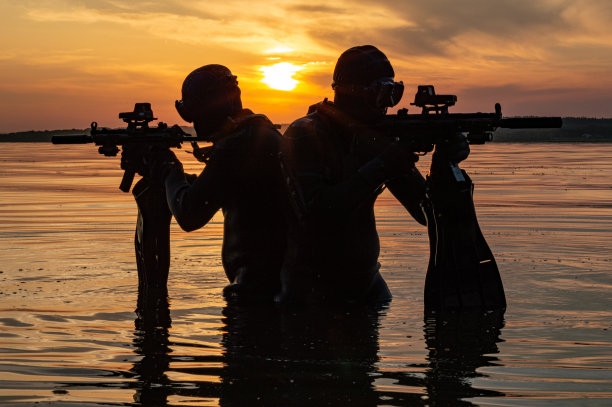 sas