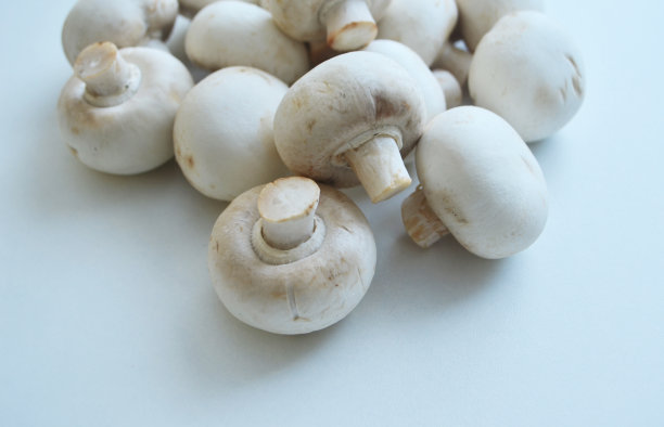 蘑菇木耳,组物体,白色