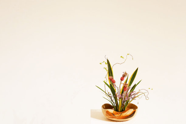 植物,花簇,花