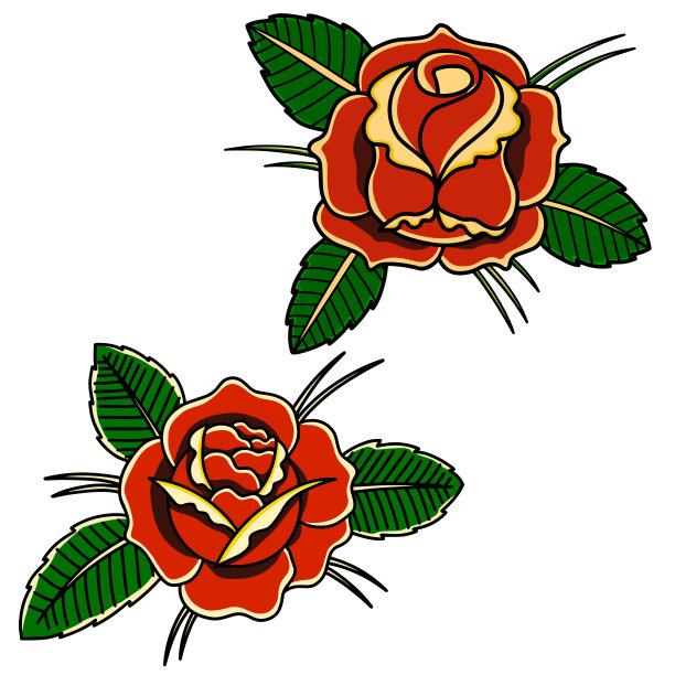 墨红玫瑰花