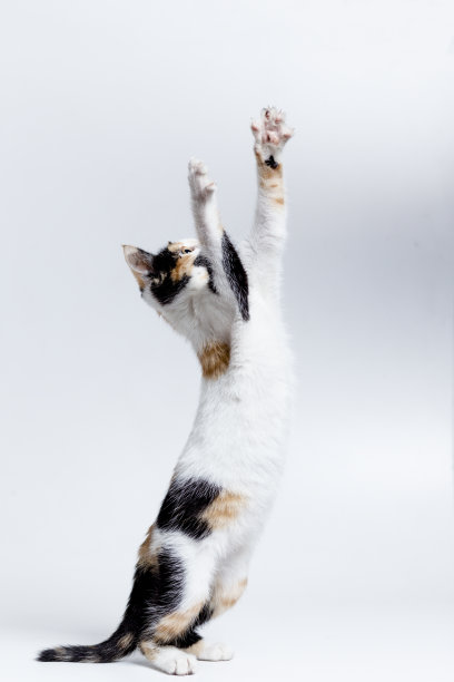 leaping