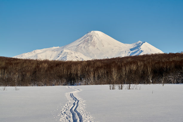 俄罗斯冬日原野风景