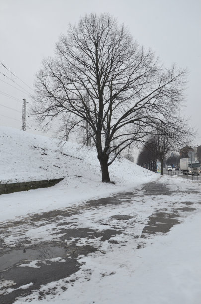 白雪皑皑冬季郊外雪景