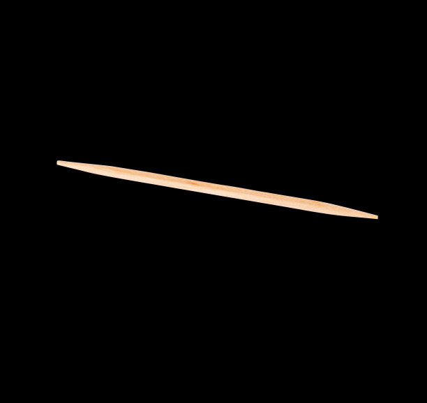 微型竹子