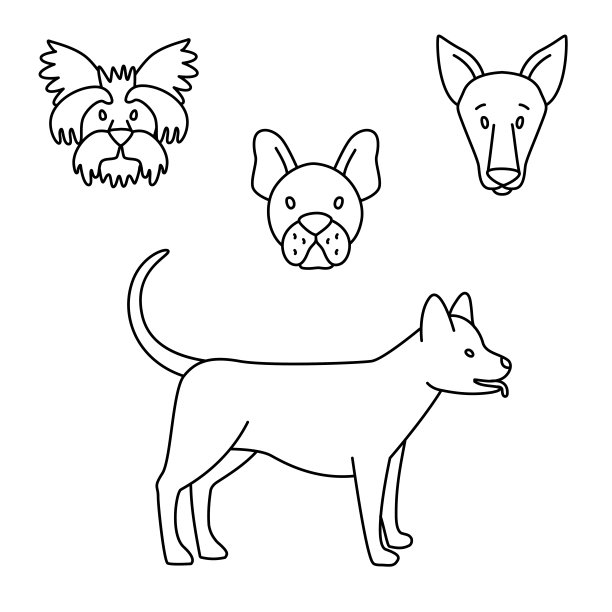 schnauzer