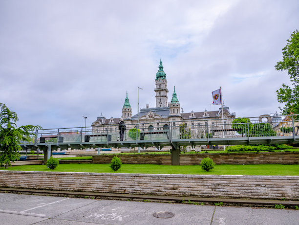 mayor