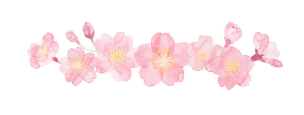手绘花