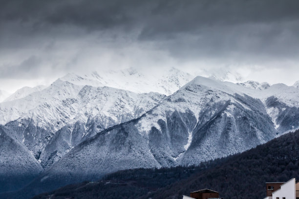 高山脉树林