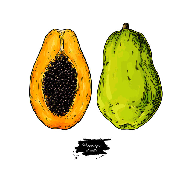 papaya