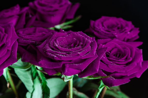 紫红色情人节生日会