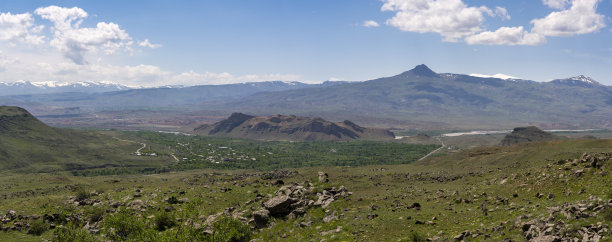 高山脉树林