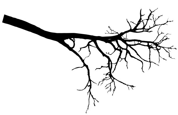 艺术背景树干树枝