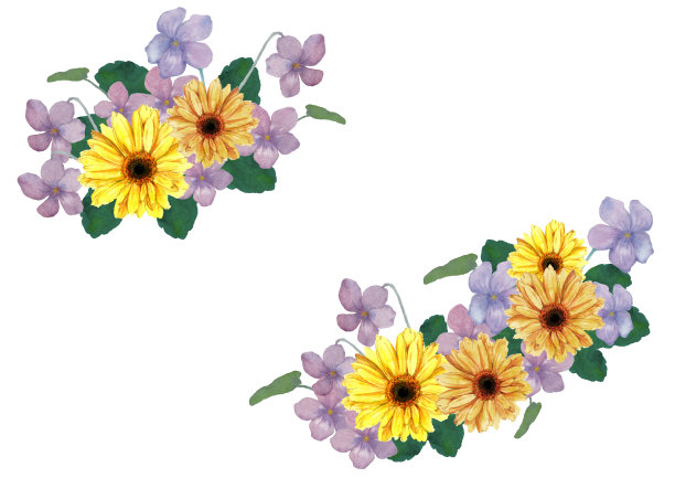 水彩花卉插画