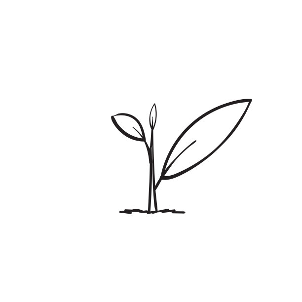 线描农田