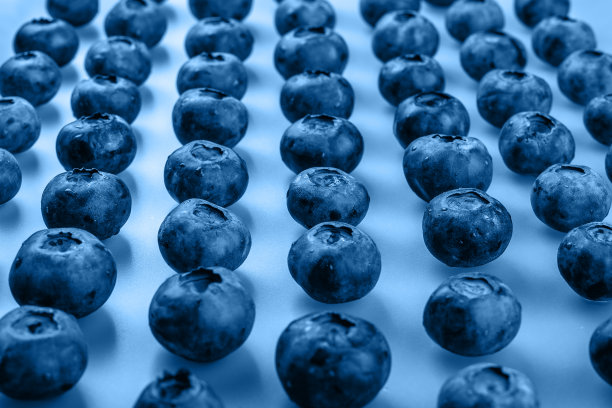 美味蓝莓高清摄影大图