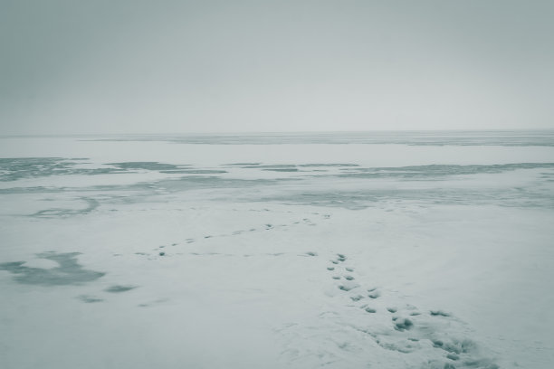 海面结冰