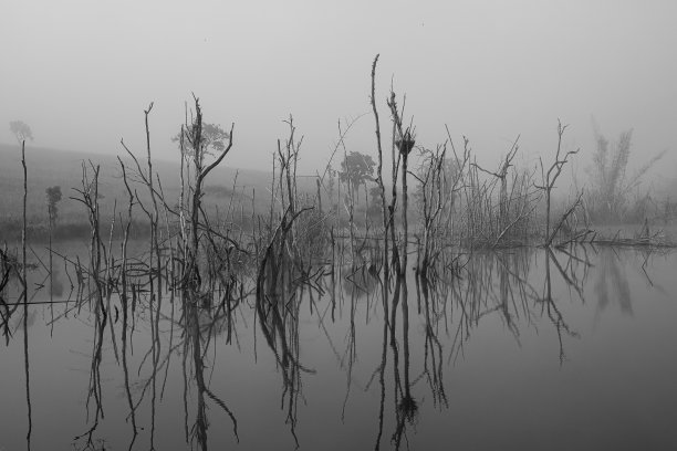 水坝全景