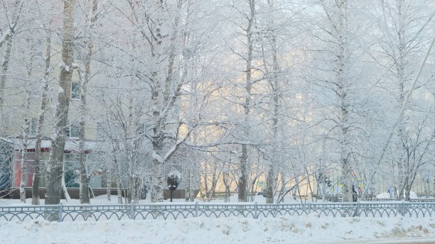 白雪皑皑冬季郊外雪景