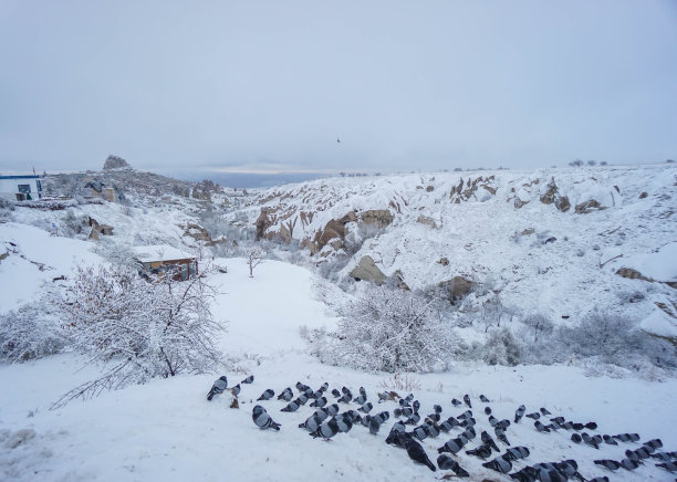 冰雪城堡