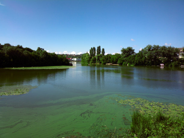 绿色城市河岸风景