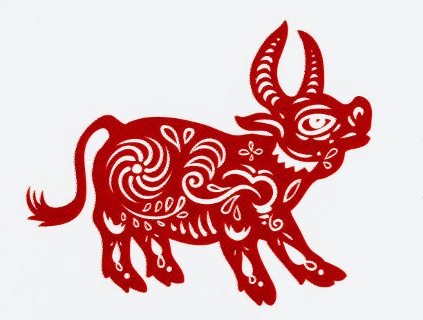 撕纸