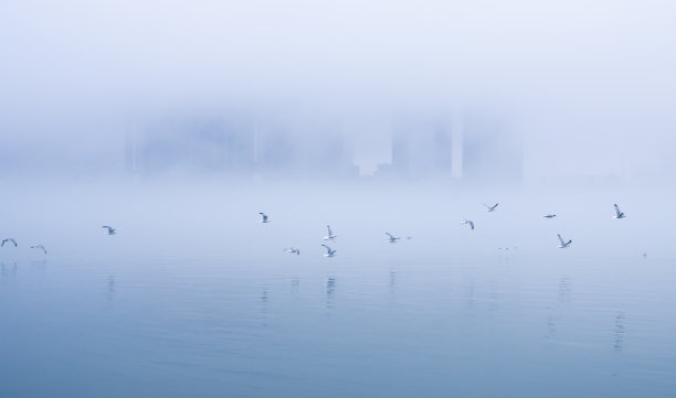 鸟群云雾