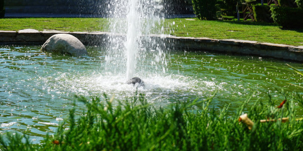 ponds