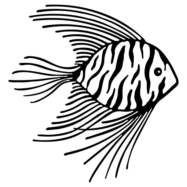 鱼的logo设计