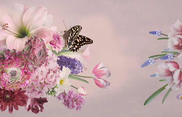 蝴蝶和花环卡片