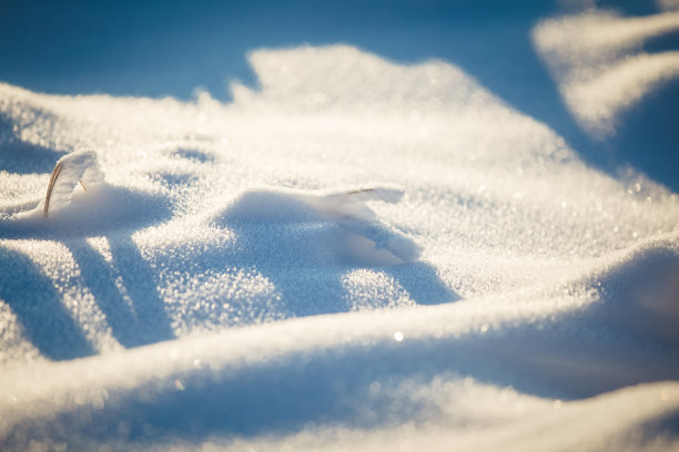 雪花背景