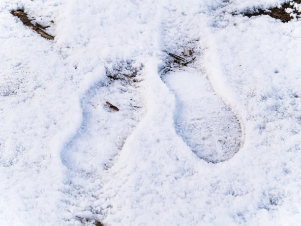 行走在雪地中的人