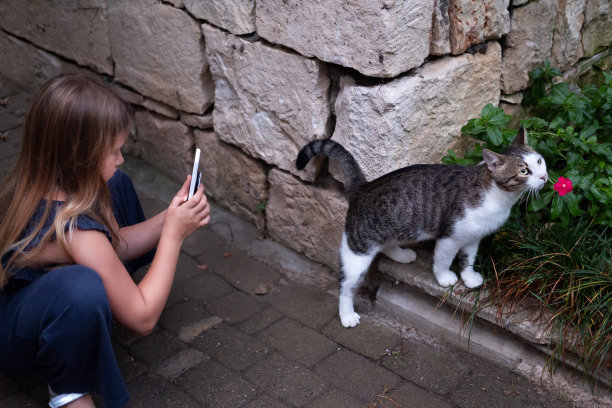 女孩和小猫