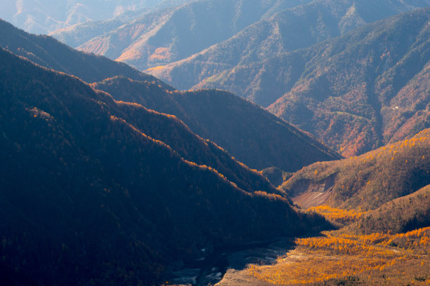 秋天树木和山丘的彩色风景