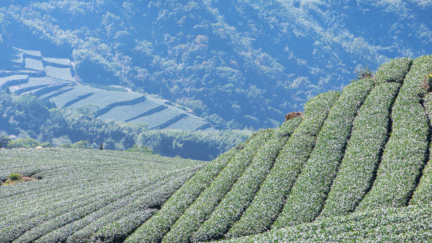 东方美学山河山川