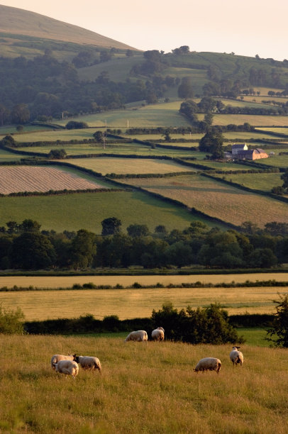 powys