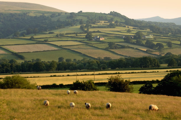 powys