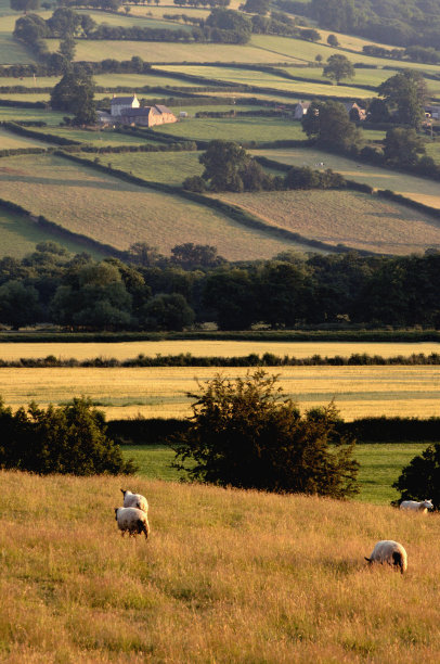 powys