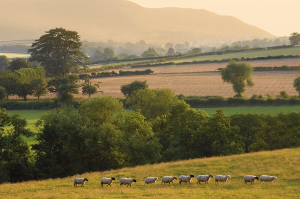 powys