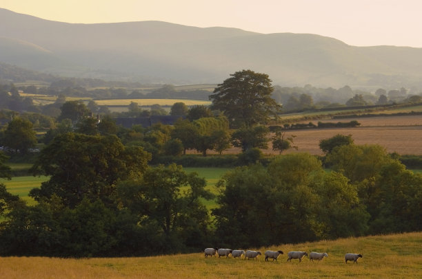 powys
