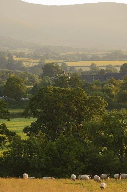powys