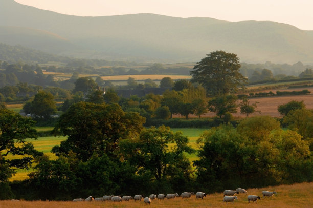 powys