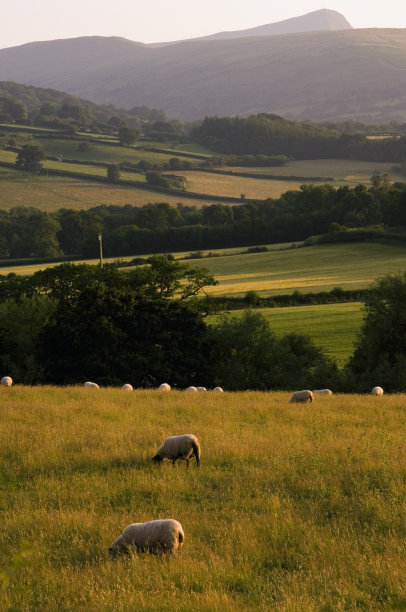 powys