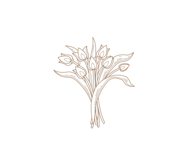 抽象花朵logo