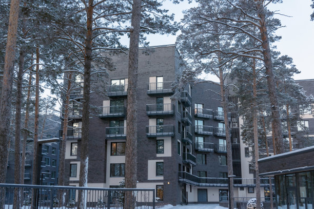 白雪皑皑冬季郊外雪景