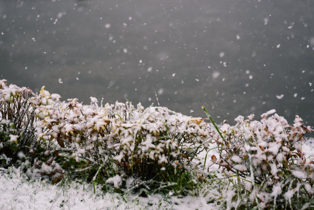 寒露霜降立冬小雪